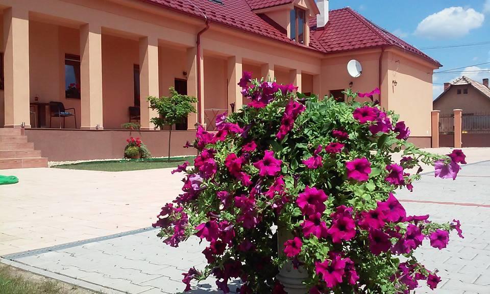 Vila Maria Rapovce Ngoại thất bức ảnh