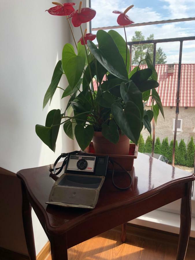 Vila Maria Rapovce Ngoại thất bức ảnh